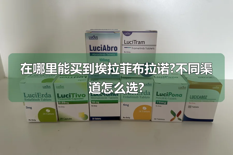 在哪里能买到埃拉菲布拉诺?不同渠道怎么选?