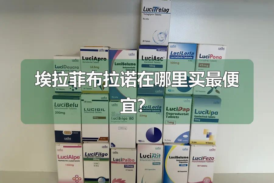 埃拉菲布拉诺在哪里买最便宜？