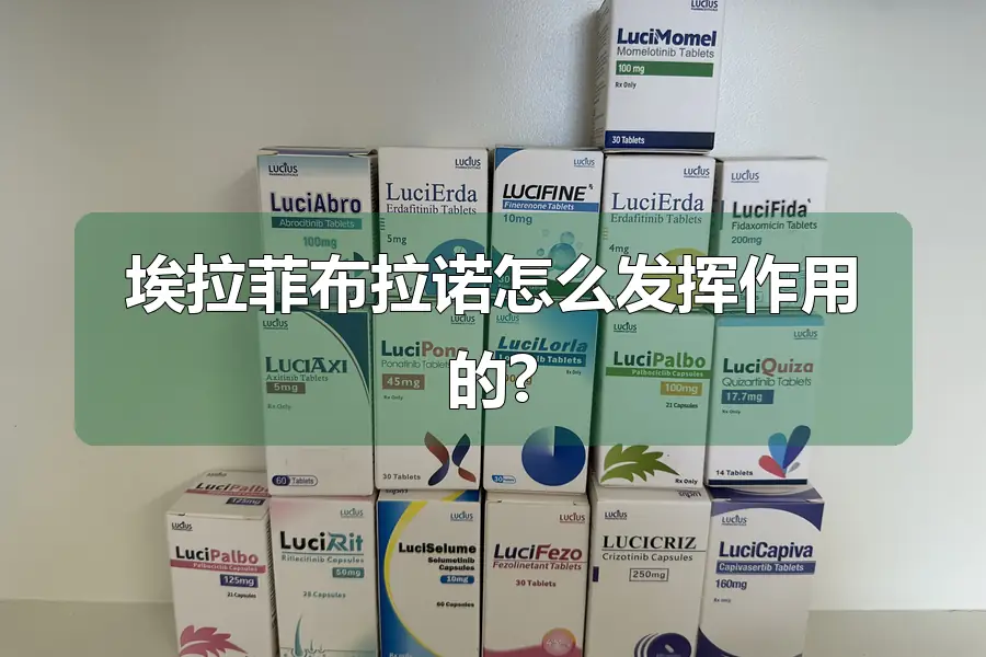 埃拉菲布拉诺怎么发挥作用的?